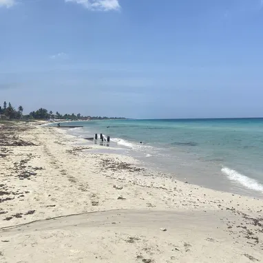 SE VENDE CASA EN LA PLAYA - Img 121518861