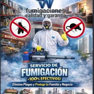 Fumigación - Img 57160297