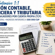 GESTIÓN FINANCIERA PARA NEGOCIOS – TCP (sin ser contador) - Img 56387397