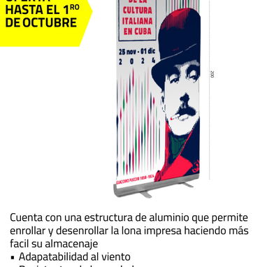 IMPRESIÓN - 5/5