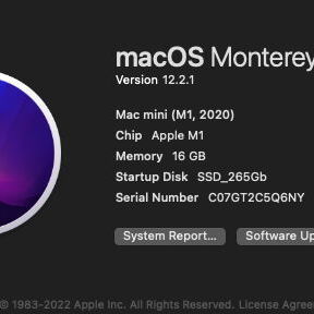 Mac mini M1 2020 16Ram SSD256 - 2/2