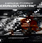 FITNESSARMY Creatina Platinum Muscletech 400gr - 80serv.  58234161 FITNESSARMY - Img 42001277