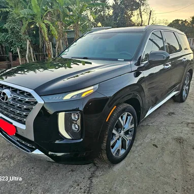 Vendo o negocio Hyundai Palisades 2020 caligrafhy - Img 111143594