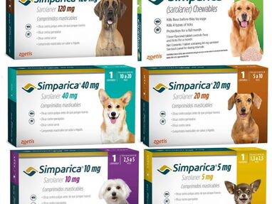 Simparica, comprimidos antiparasitarios para perros - Img main-image