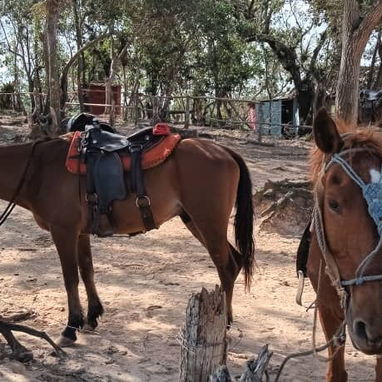 ⚡️🏇Renta casa con paneles solares en Viñales⚡️/Alquila casa en Viñales/Rent a house/Accommodation - Img 124374976