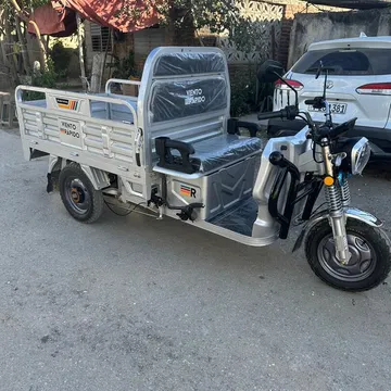 TRICICLOS ELÉCTRICOS VIENTO RÁPIDO