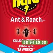 Raid spray para hormigas y cucarachas 17.5 oz - Img 57237189