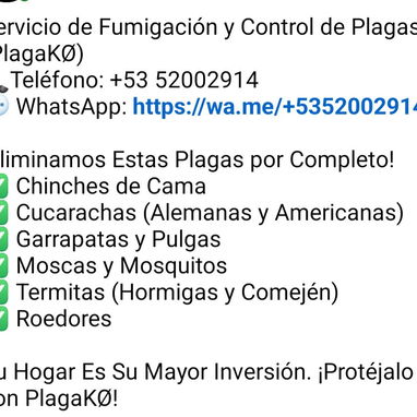 Servicio de fumigación y exterminio de plagas - Img 109932602