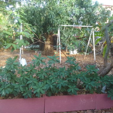 Ofertaaa precioso chalet década del 50 en La Víbora. Gran patio y garaje cerrado para dos autosOportunidad de inversión! - Img 118260092