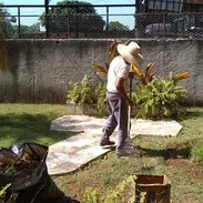 servicios de Jardinería y diseño - Img 54965186