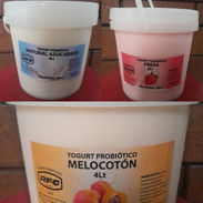 Yogurt probiotico de 4lt RFC - Img 55550314