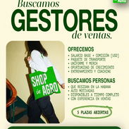 Buscamos gestores - Img 55139615