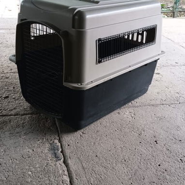 (((( EN VENTA GUACAL PARA PERROS WHATSAPP 58746643 )))) - Img 121680622