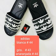 Hombres - Img 56090592