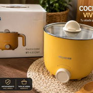 Olla multifuncional 35 usd perfecta para ecoflow - Img 57712108
