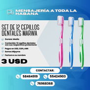 🪥 SET DE 12 CEPILLOS DENTALES MARWA Precio: 3 USD - Img 57548471