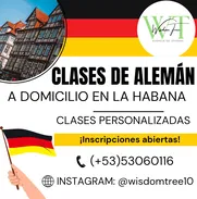 CLASES DE ALEMÁN PERSONALIZADAS A DOMICILIO EN TODA LA HABANA. 53060116 - Img 48826774