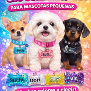 Collar para mascota - Img 56333071