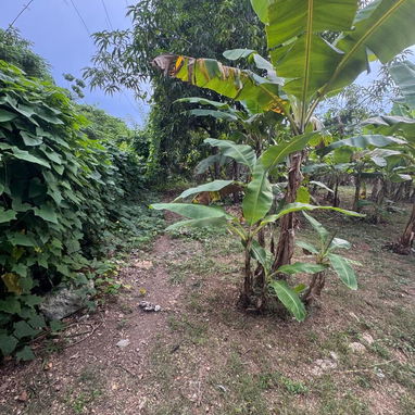 💯💯VENDE TERRENO DE BUEN METRAJE ,REPARTO RESIDENCIAL SIBONEY 💯💯 - 7/7