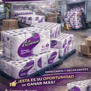 ***🧻📦 ¡Papel Higiénico La Excelencia al por mayor! WhatsApp 58079455 - Img 51668781