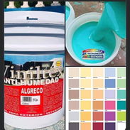 PINTURA DE VINIL ANTIHUMEDAD PARA INTERIORES Y EXTERIORES - Img 57237241