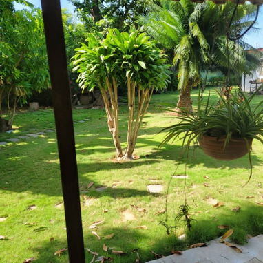 💥💥Casa ubicada cerca del Pedregal 💥wattssap 55432935 de 1700 mtr2💥 solo dos casas en la cuadra precio 160 mil usd - 6/10