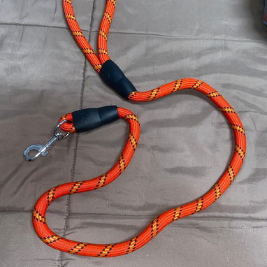Artículos para perros - Img 124129023