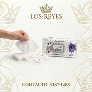 Toallas Húmedas 120u 750mn 👑LR👑 - Img 55093845