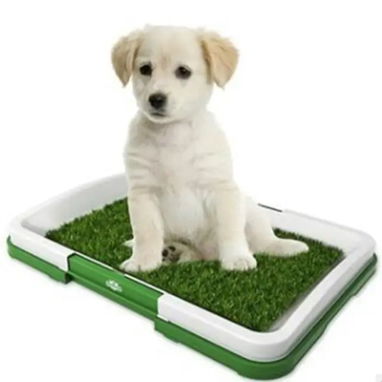Cesped Artificial para Perros 🐕 - Img 104881857
