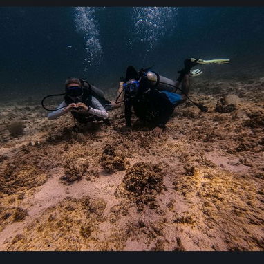 Experiencias y cursos de buceo - 2/3