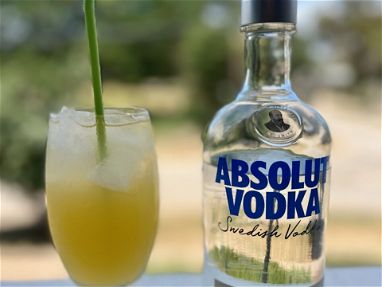 Vodka Absolut - Img main-image-45631881