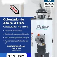 Calentador de gas - Img 55647454