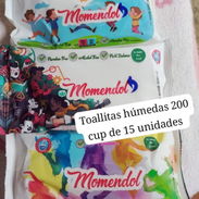 Toallitas húmedas de 15 unidades - Img 56001436