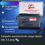 Cargador para bicimoto 48v 5.5A Mishozuki carga rápida - Img 55757234