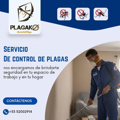 Servicio de fumigación y exterminio de plagas - Img 109932543