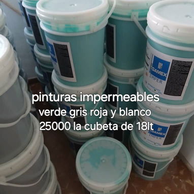 Pintura de vinil - Img 123449368