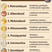 Antiparasitarios Cloroquina,Nitazoxanida,Metrodinazol,Albendazol,Mebendazol Importados 🦠 - Img 49577791