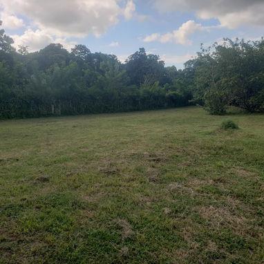 SE VENDE CASA – VALLE GRANDE, MUNICIPIO LA LISA 📍 UBICACIÓN Valle Grande, Municipio La Lisa Papeles en regla ✔️ - Img 124488665