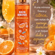 Colonia Sunshine Mimosa de B&BW - Img 55663308