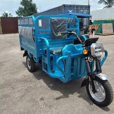 🛺 TRICICLO ELÉCTRICO MARCA STAR - 6/9