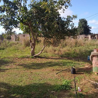 Se vende casa en vereda nueva municipio caimito provincia Artemisa - Img 125354500