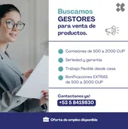 TRABAJA DESDE CASA PARA GESTORES, TRABAJO FLEXIBLE DESDE CASA (Kinetica) - Img 49725666
