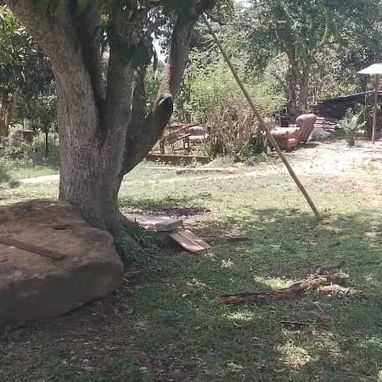 Solo Habana en marianao por la universidad de la cujae Se vende una propiedad con papeles en orden para hacer trámite - Img 123398716