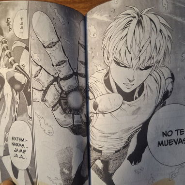 Mangas personalizados - 5/8