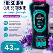 PERLAS DOWNY FRESCURA - Img 56051206