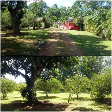 finca con todo adentro - Img 100174574