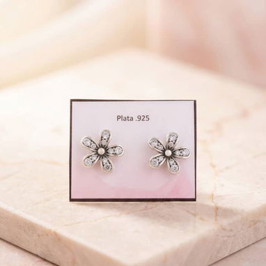 Aretes Pandora de plata s'925 - Img 123216815