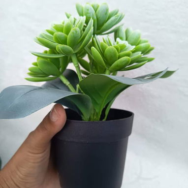 Planta artificial decorativas 15 USD descripción 👇 Casa viva - Img 119896145