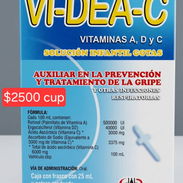 Videa C - Img 57003501