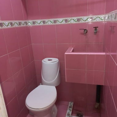 Vendo 2 casas en el vedado una al lado de la otra - Img 119503511